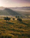 Nature's Theatre