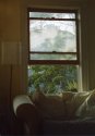 Apartment - the comfy chair