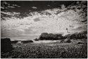 Yaquina.head1.sm