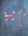Tree Branch Lumen