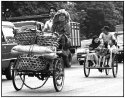 Pedicabs. Surabaya
