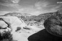 View From Rocks