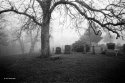 Wyandotte Cemetery