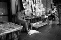 One Kitty In Bangkok