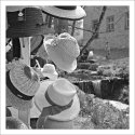 At the country fair