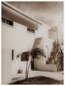 Palm'n House