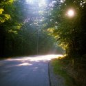 Morning Drive