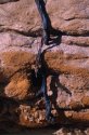 Cliff face close up - 1