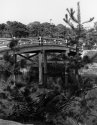 Japanese Garden Bridge-2