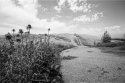 Trail