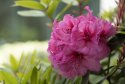 Canon EOS R Dynamic Range/Noise Test