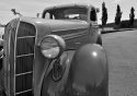 Dodge
