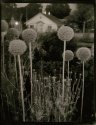 Snug Harbor At Night (1) Pd