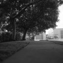 A Walk In The Shade