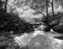 Dry Plate - A nice spot