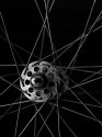 Spokes