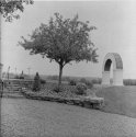 Tree and Arch, overexposed Rollei IR 400
