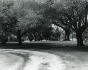 Plantation Entrance