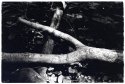 A crossing of logs
