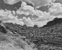 Desert Clouds