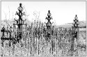 Pioneer Cemetery