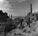 Hugh Norris Trail.1