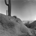 Rock & Cactus - Hugh Norris Trail.1