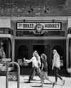 Brass Monkey