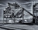 Arlington Cattle Company