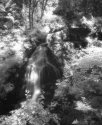 Steelhead Falls