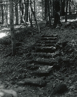 Sonatas II-1 (adagio)