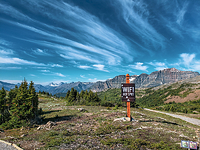 The world has lost it's mind