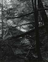 Sonatas II-5 (adagio)