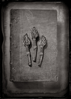 The Book of Exceptions, Vol.