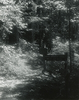 Sonatas II-6 (adagio)