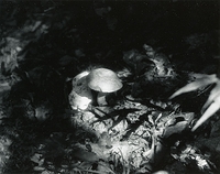 Sonatas II-7 (adagio)