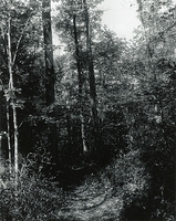 Sonatas II-8 (adagio)