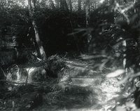 Sonatas II-10 (presto)