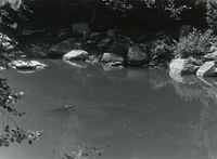 Sonatas II-11 (presto)