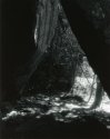 Sonatas II-14 (presto)