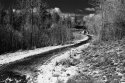 Green-space Road