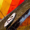 Sunfish
