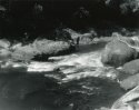 Sonatas II-17 (presto)