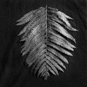 Fern 2