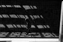 Shadow Skateboard