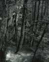 Sonatas II-20 (andante)