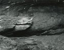 Sonatas II-21 (andante)