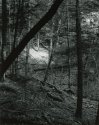 Sonatas II-22 (andante)