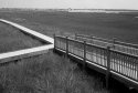 Chincoteague