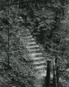 Sonatas II-24 (andante)